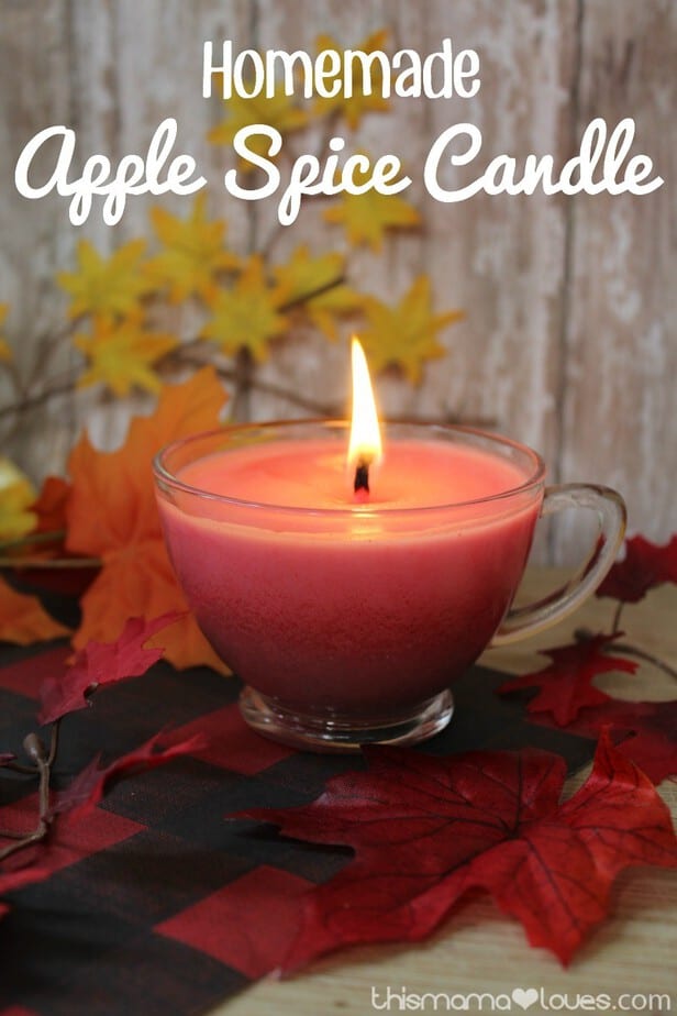 Homemade Apple Spice Candle - This Mama Loves